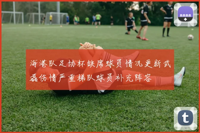 海港队足协杯缺席球员情况更新武磊伤情严重梯队球员补充阵容